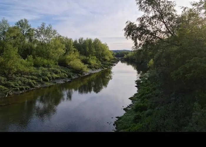 The Garden * Cappoquin